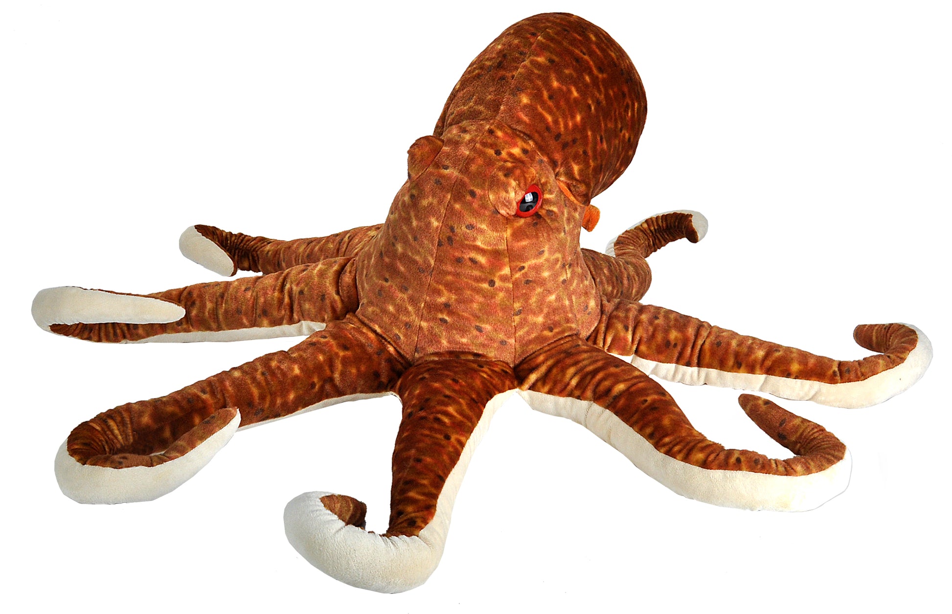 Ck-Jumbo Octopus