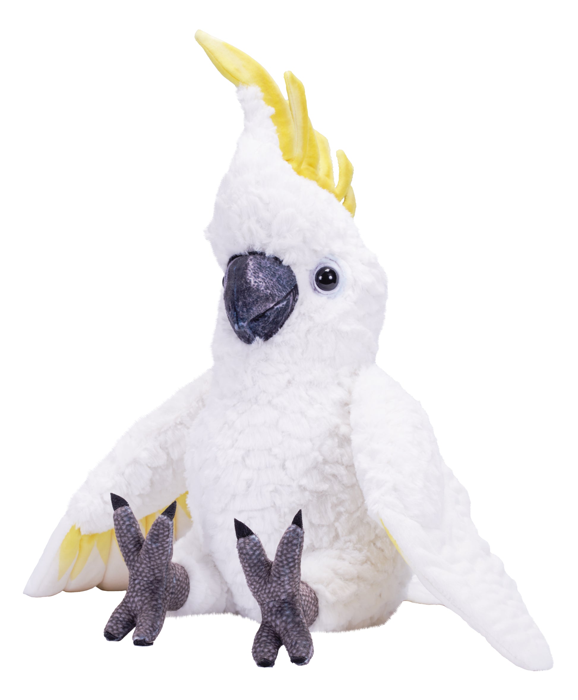 Artist Sulfur Crested Cockatoo